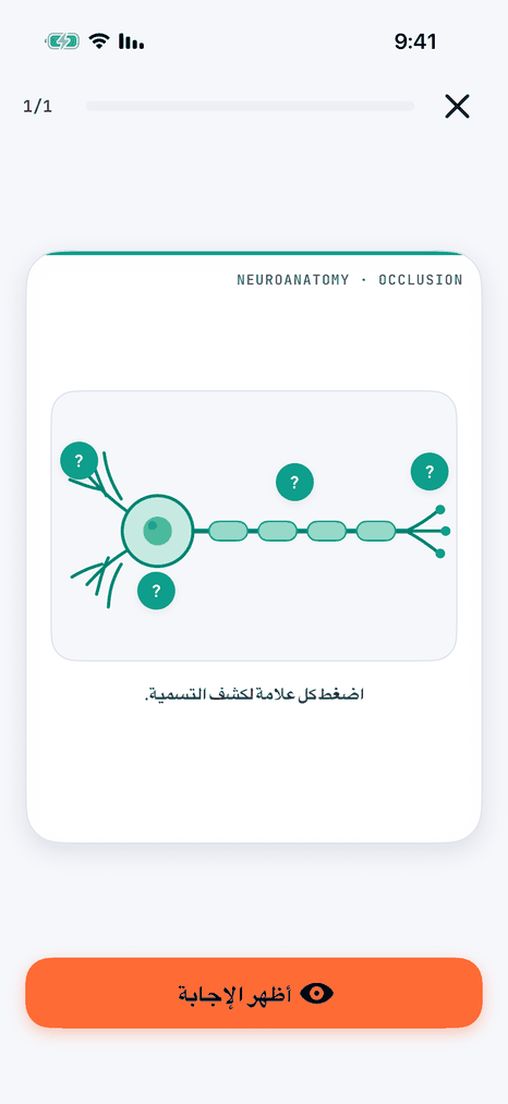 كشف تسميات مخفية على صورة واحدة تلو الأخرى