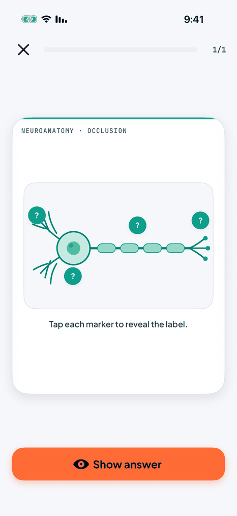 Image occlusion labels revealed one by one